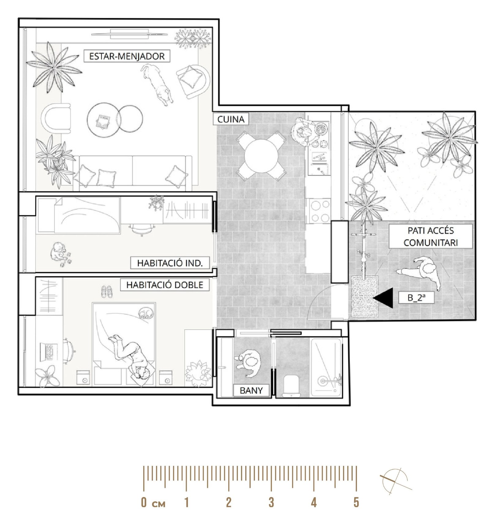 Plano de la tipología T2